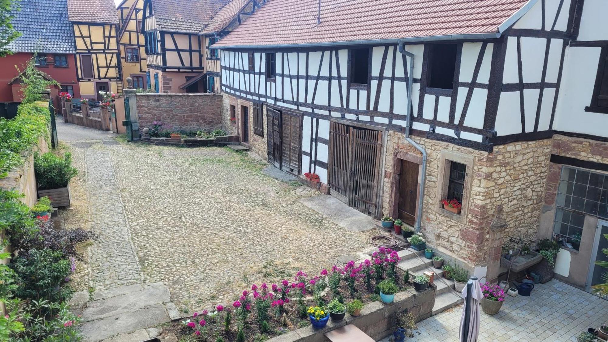 Chambres D'Hotes Du Marche Aux Grains Bouxwiller  Экстерьер фото